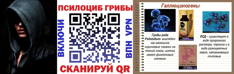 Купить закладки  Юрюзань  Галлюциногенные грибы GOLDEN TEACHER 